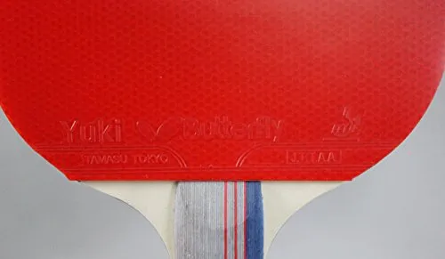 Butterfly Wooden 401 Table Tennis Racket Set - 1 Ping Pong Paddle 1 Ping Pong Paddle Case - Gift Box - ITTF Approved (red, grey, and blue )