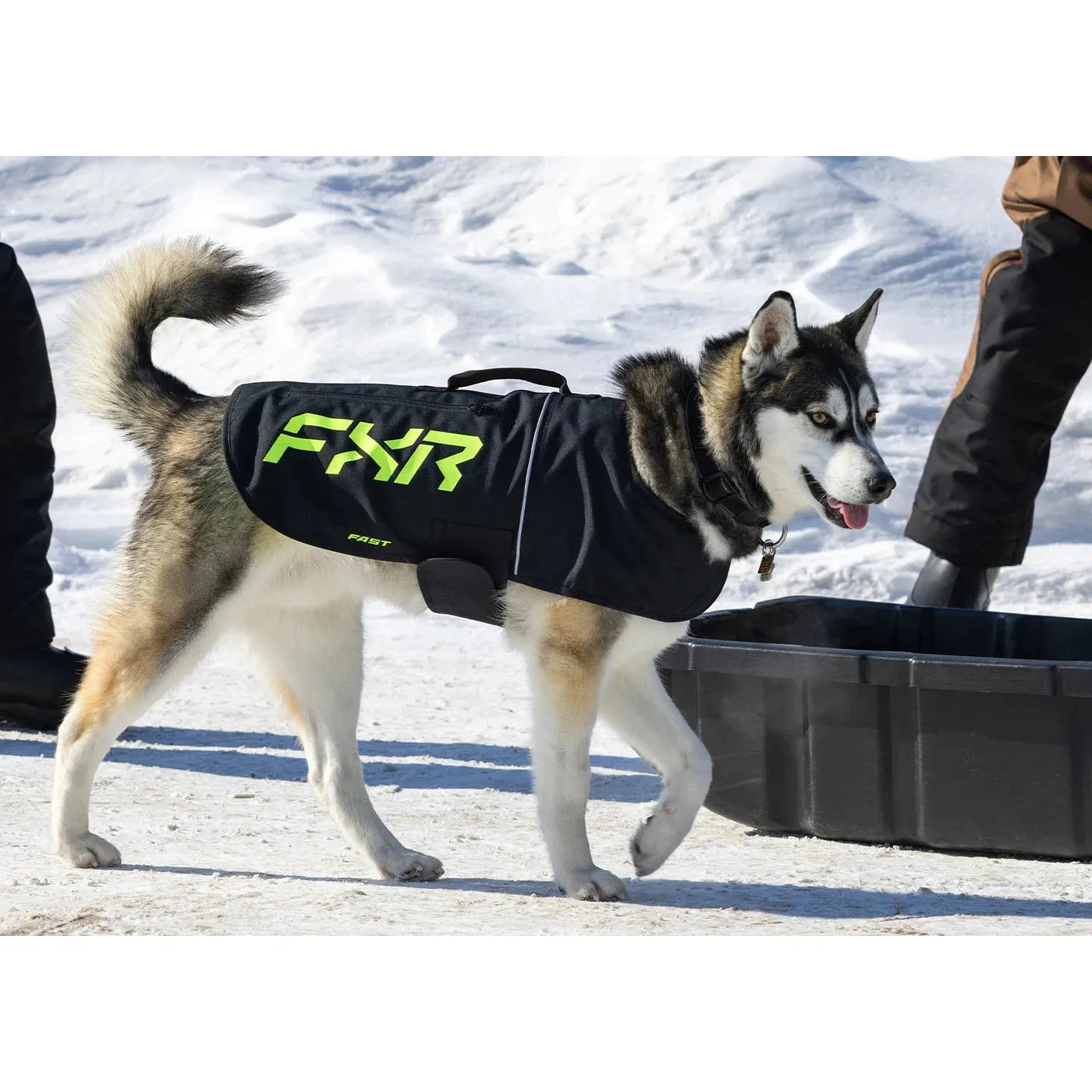 FXR CX Dog Coat