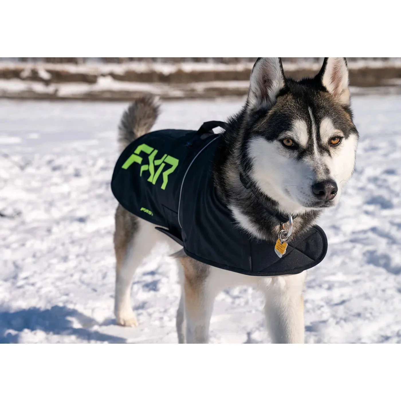 FXR CX Dog Coat