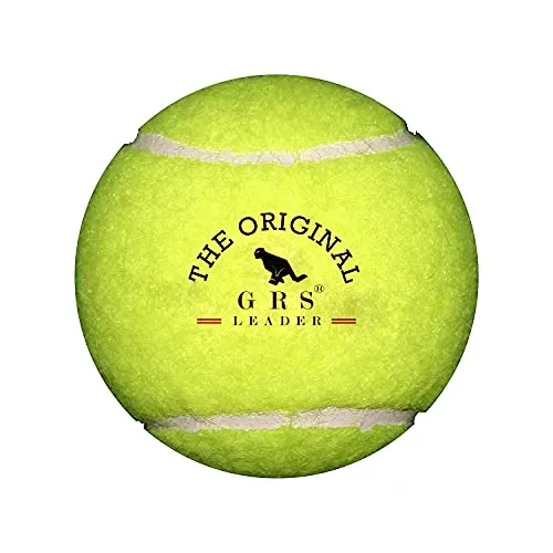 GRS Kids Zone Popular Willow Cricket Bat with Wicket Set & 1 Tennis Ball for Kids (Size 3, Age 6-10 Year Old Kids), Wood
