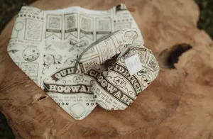 Harry Potter Soft Soled Baby Shoes Bib