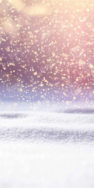 Kate Bokeh Winter Snowflake Backdrop Designed by Chain Photography