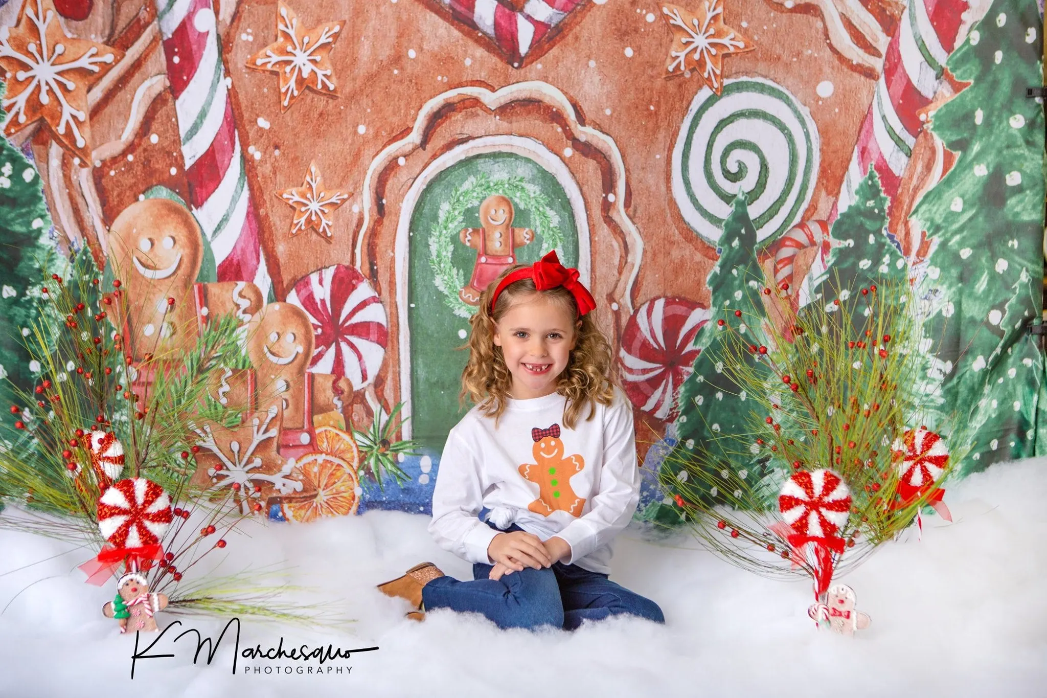 Kate Christmas Backdrop Winter Gingerbread House Designed by GQ