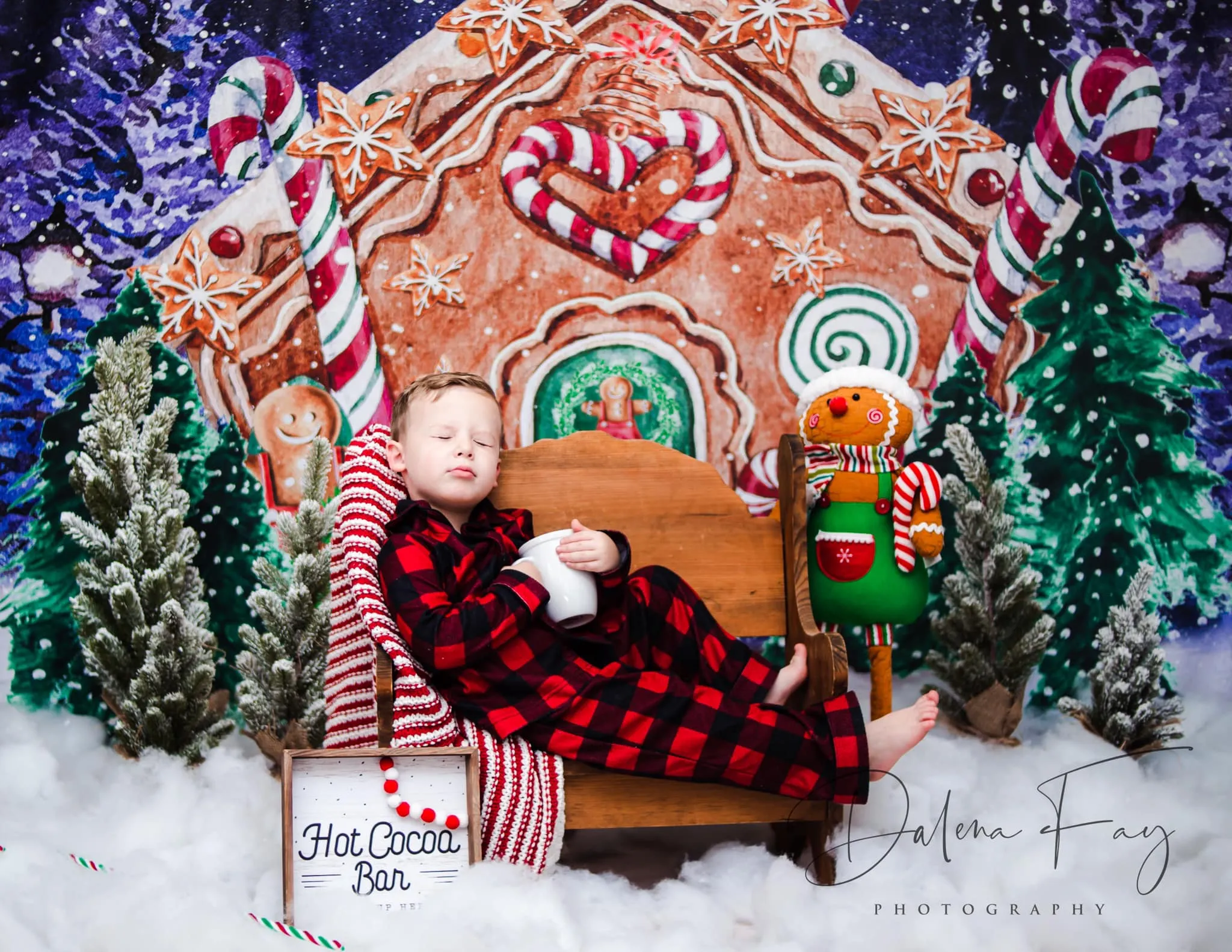 Kate Christmas Backdrop Winter Gingerbread House Designed by GQ