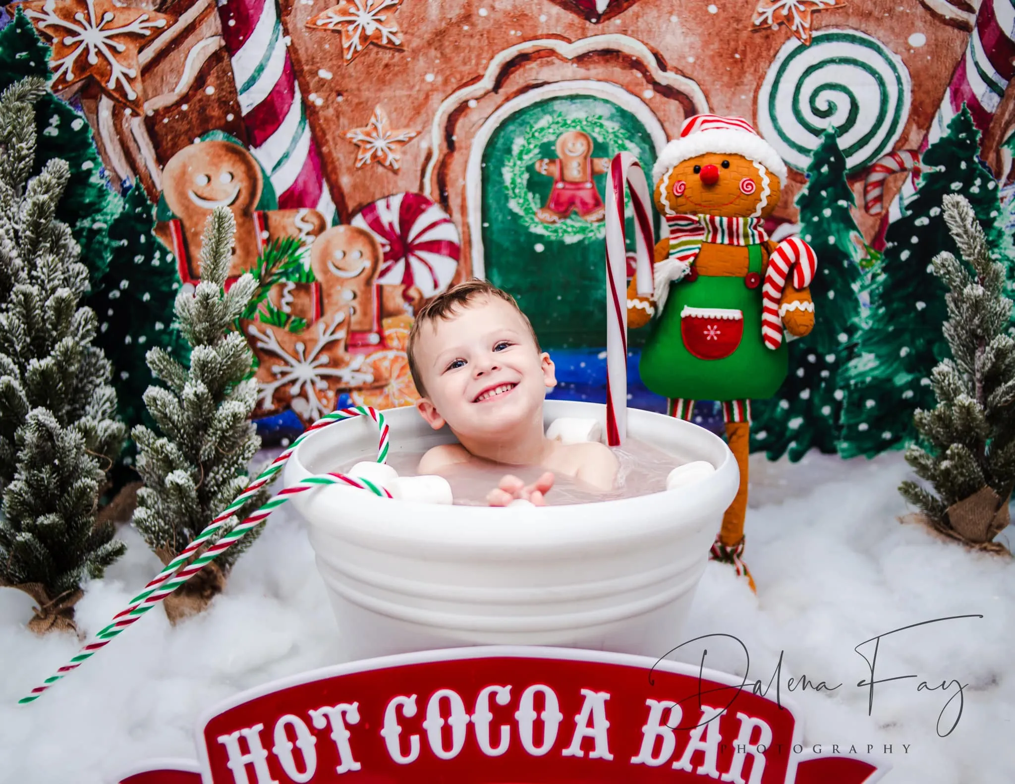 Kate Christmas Backdrop Winter Gingerbread House Designed by GQ