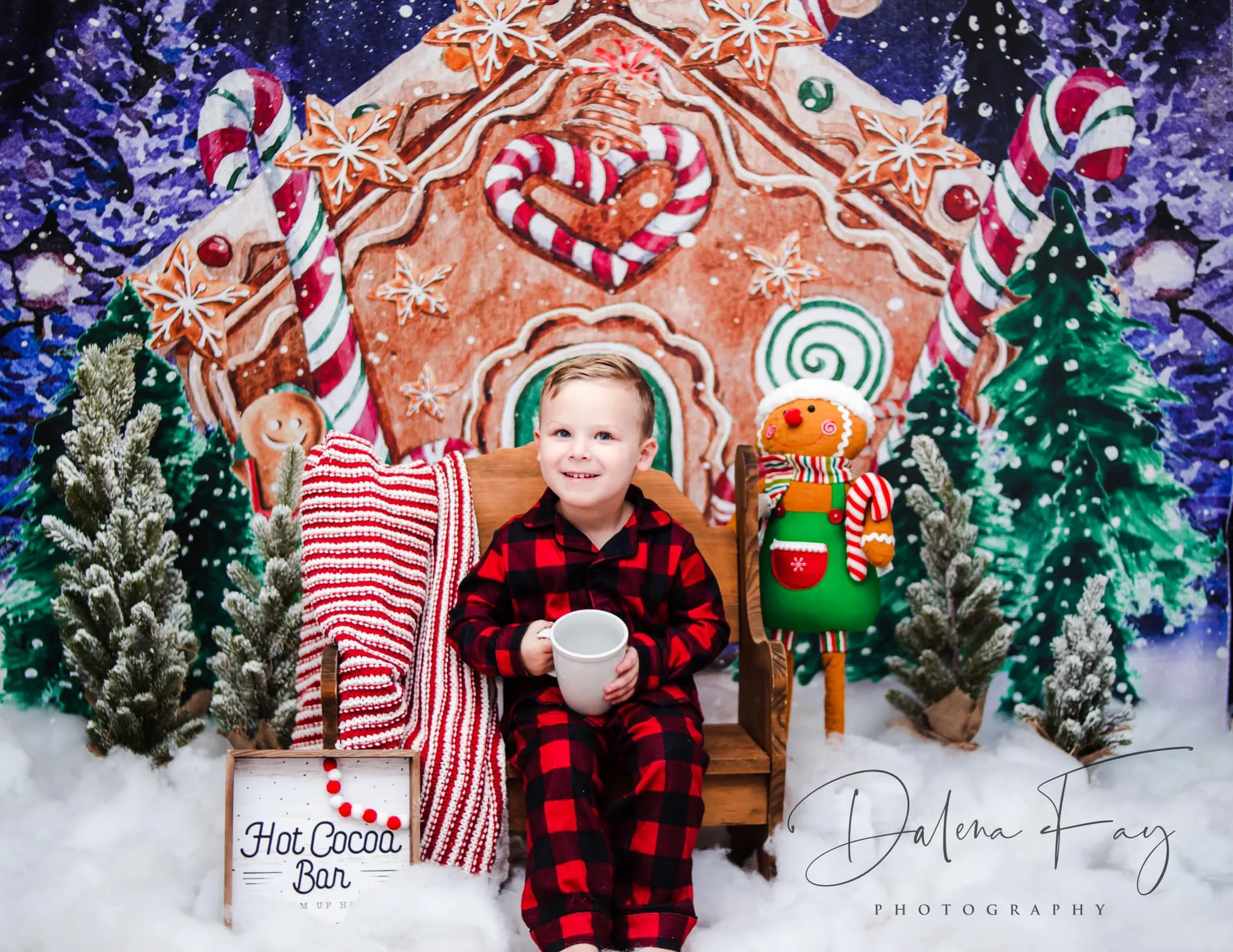 Kate Christmas Backdrop Winter Gingerbread House Designed by GQ