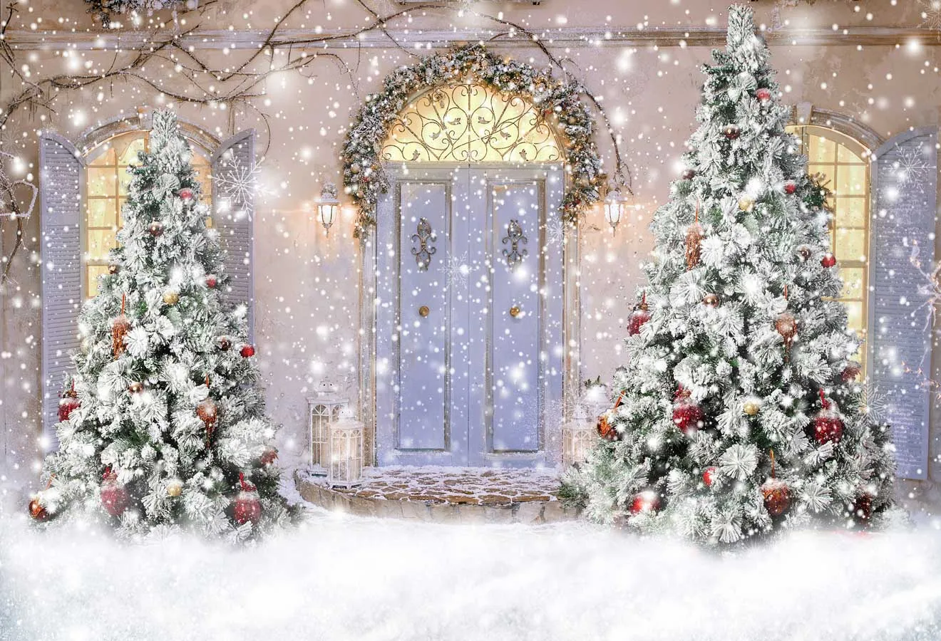 Kate Christmas Door Front Snow Backdrop for Photography