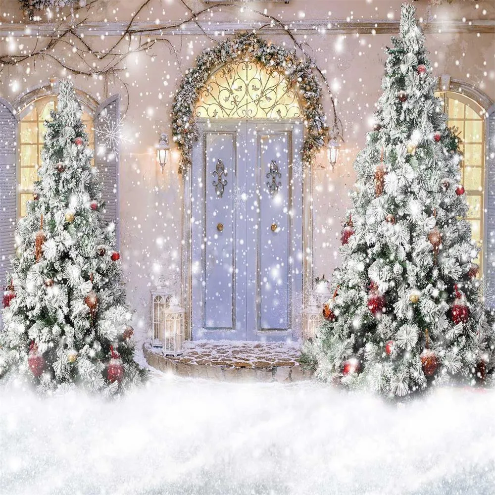 Kate Christmas Door Front Snow Backdrop for Photography