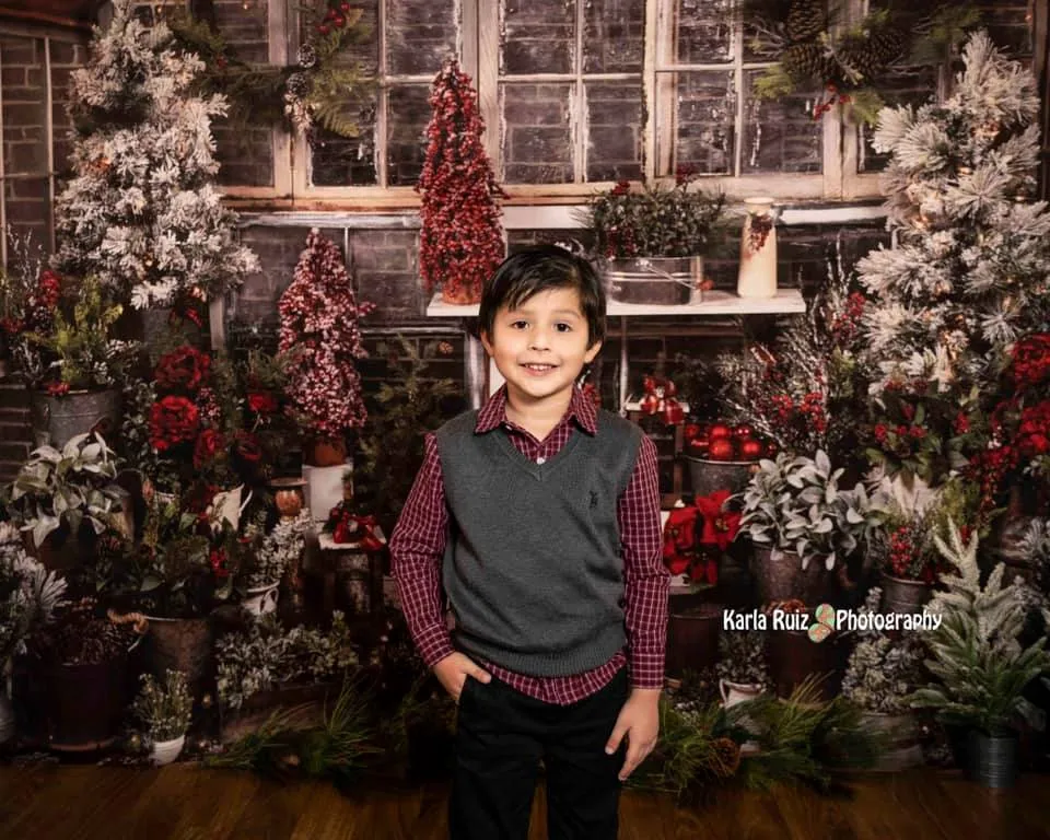Kate Christmas Tree Wood House Winter Backdrops Designed by Arica Kirby