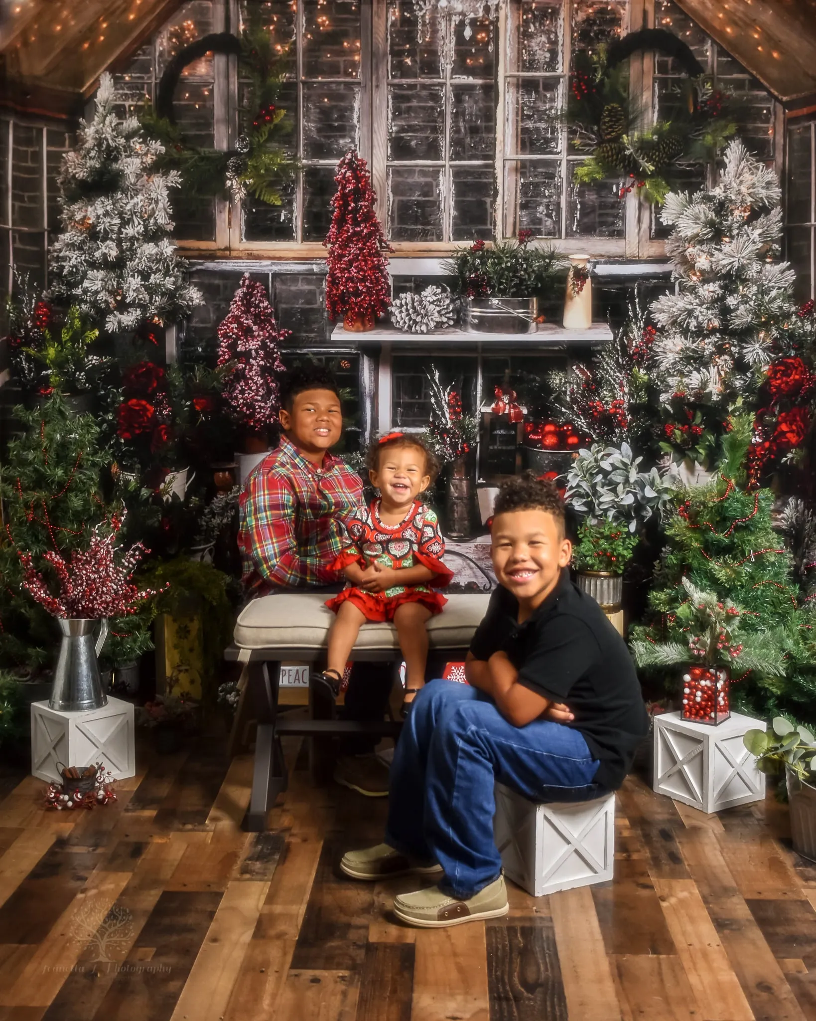 Kate Christmas Tree Wood House Winter Backdrops Designed by Arica Kirby
