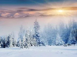 Kate Christmas Winter Scene Sunrise Snow Photo Backdrop