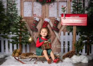 Kate Christmas Winter Snow Fence Door Backdrop Designed by Emetselch