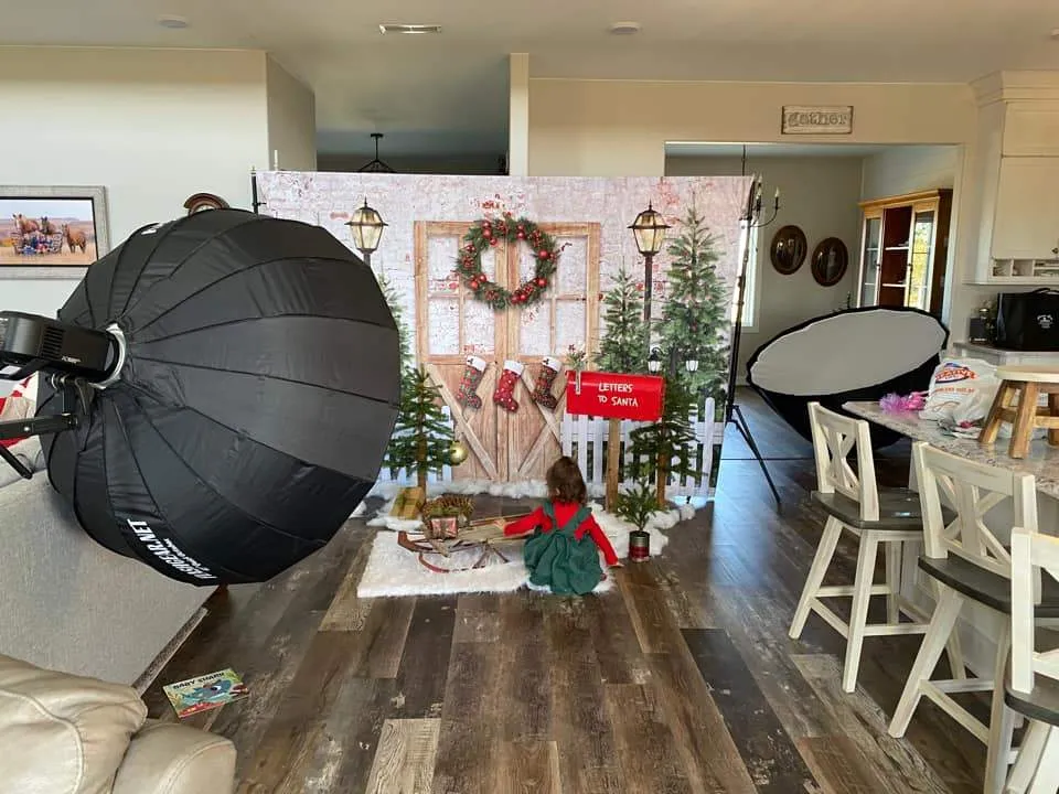 Kate Christmas Winter Snow Fence Door Backdrop Designed by Emetselch