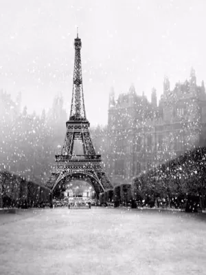 Kate Retro Winter Scenery Snowflake Eiffel Tower Backdrop