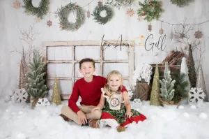 Kate Rustic Winter Backdrop Designed By Mandy Ringe Photography