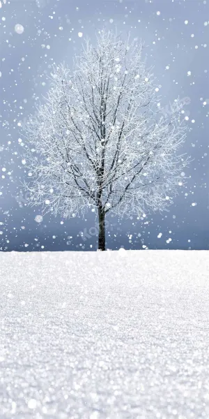 Kate Sweep Winter Snow Scene Tree Backdrop Designed by Chain Photography