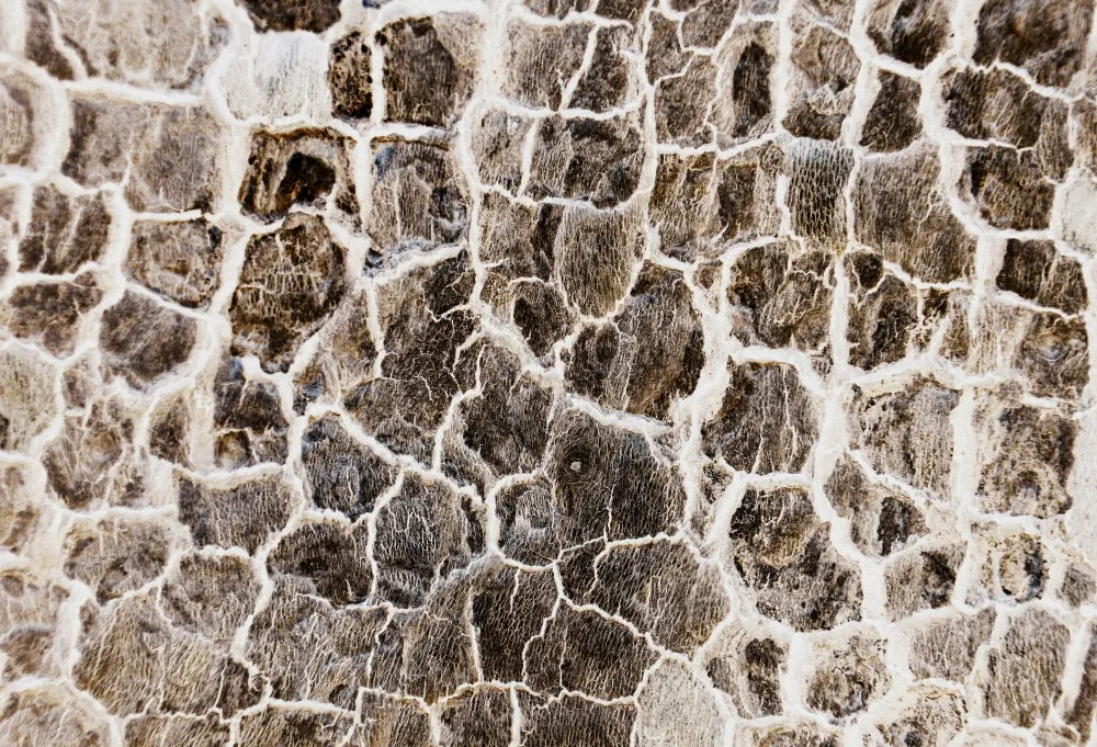 Kate Winter Christmas Snowy Stone Floor Backdrop for Photography