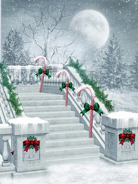 Kate Winter Scene Moon Snowflake Background Christmas