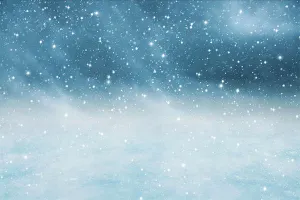 Kate Winter Snow Sky Backdrops Photography