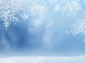Kate Winter snowflake Backdrop Designed by Jia Chan Photography