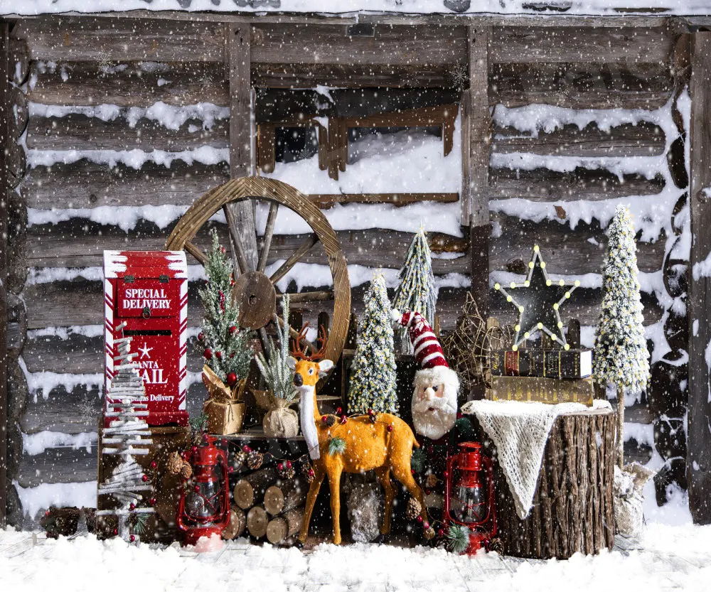 Kate Winter Snowy Christmas Backdrop for Photography