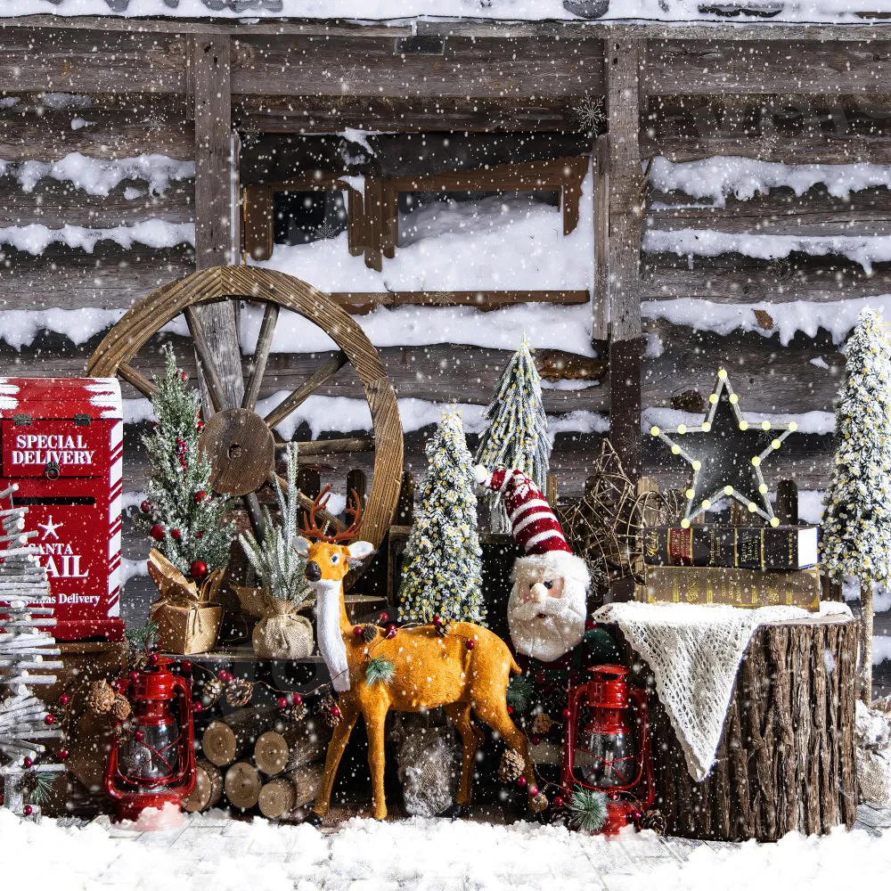 Kate Winter Snowy Christmas Backdrop for Photography