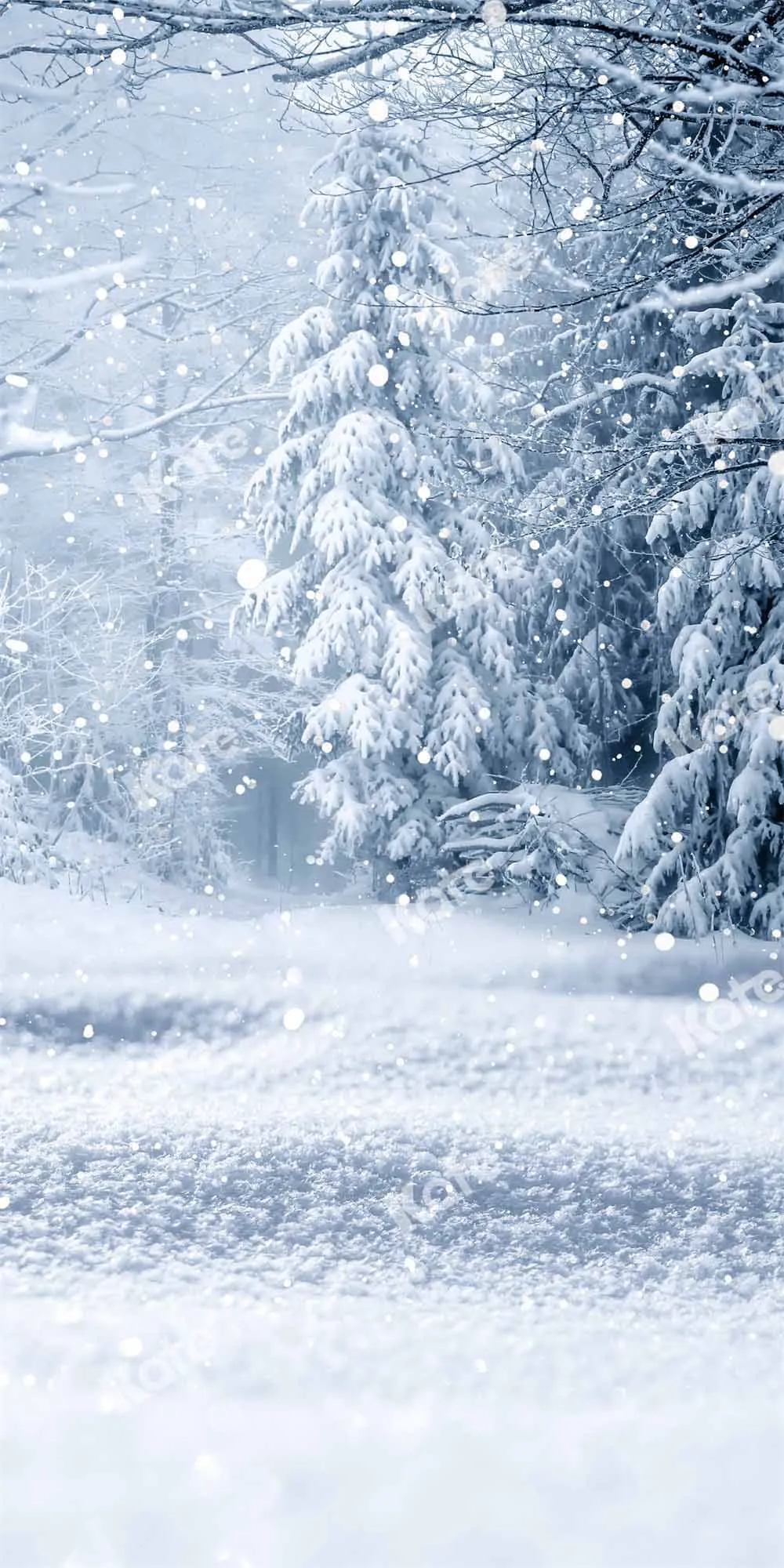 Kate Winter Wonderland Snowfield Backdrop Designed by Chain Photography