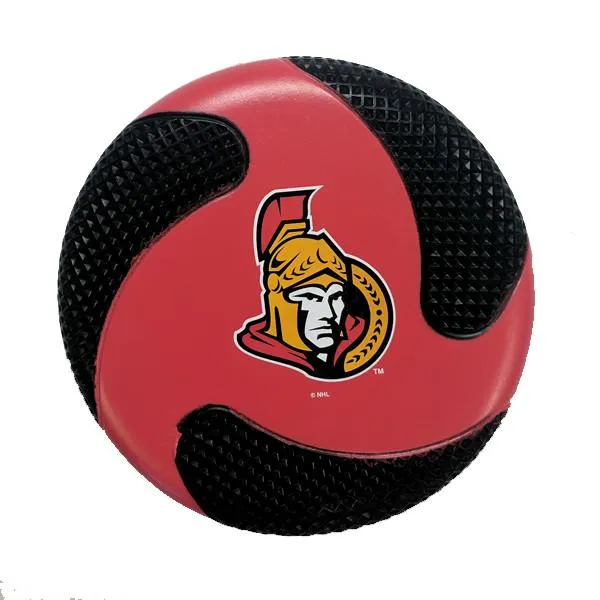 NHL Officially Licensed Foam Flyer Disc - Assorted Teams