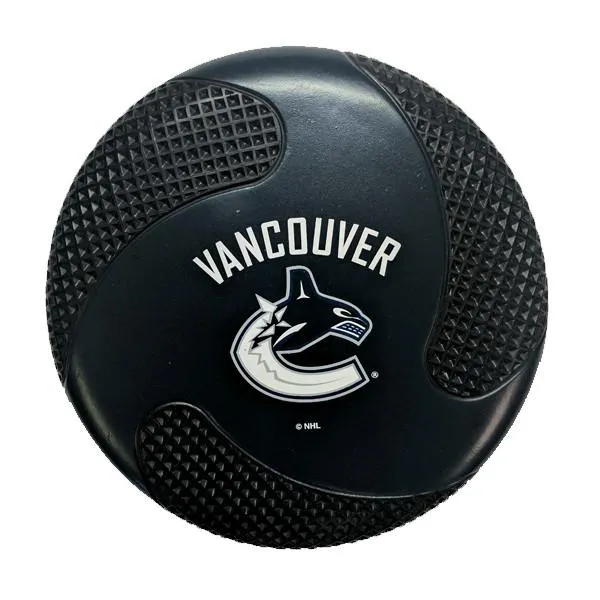 NHL Officially Licensed Foam Flyer Disc - Assorted Teams