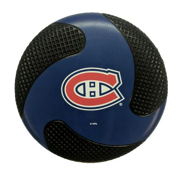 NHL Officially Licensed Foam Flyer Disc - Assorted Teams