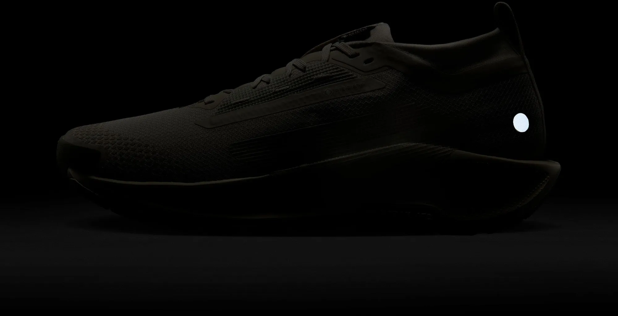 Pegasus Trail 5 gore-tex hardloopschoenen