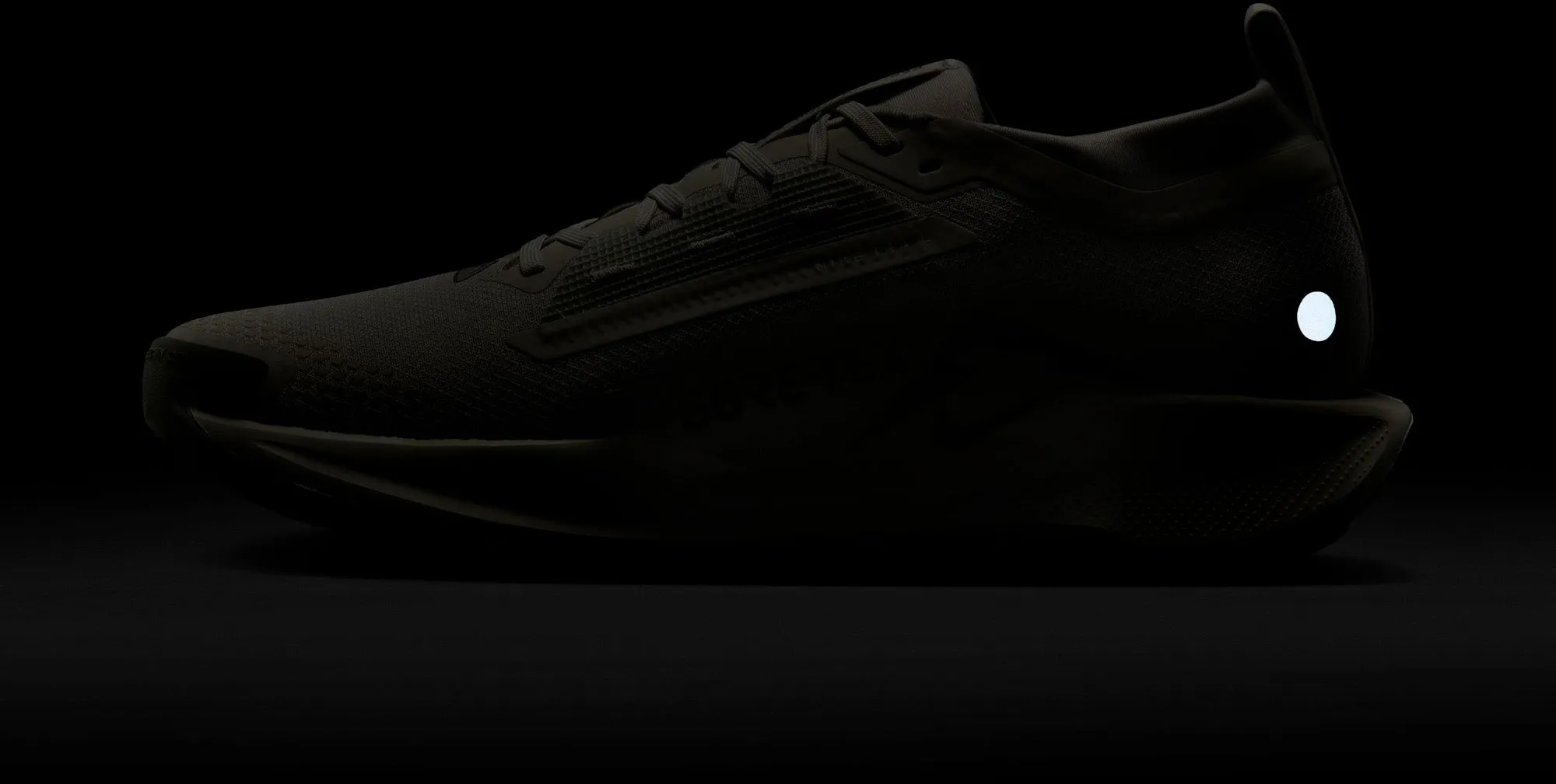 Pegasus Trail 5 gore-tex hardloopschoenen