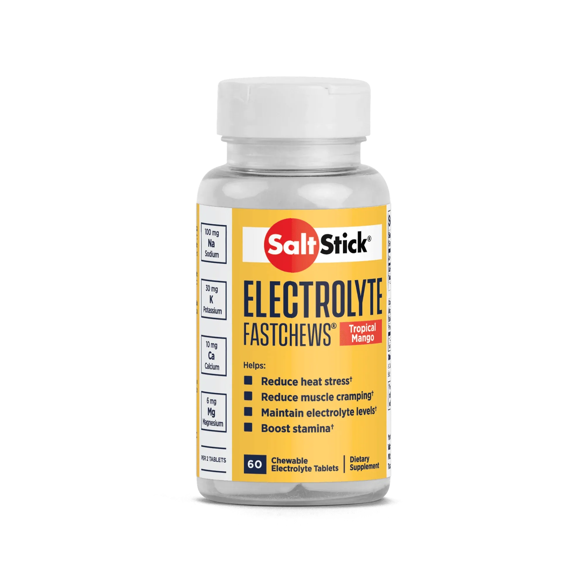 SaltStick Fastchews 60ct Bottle