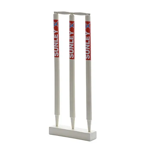 Sunley Sarthak Youth Combo Size 5 for Age Group 10-12 Years Wooden Cricket Kit (Multicolour)