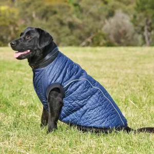 Weatherbeeta Puffer Dog Coat
