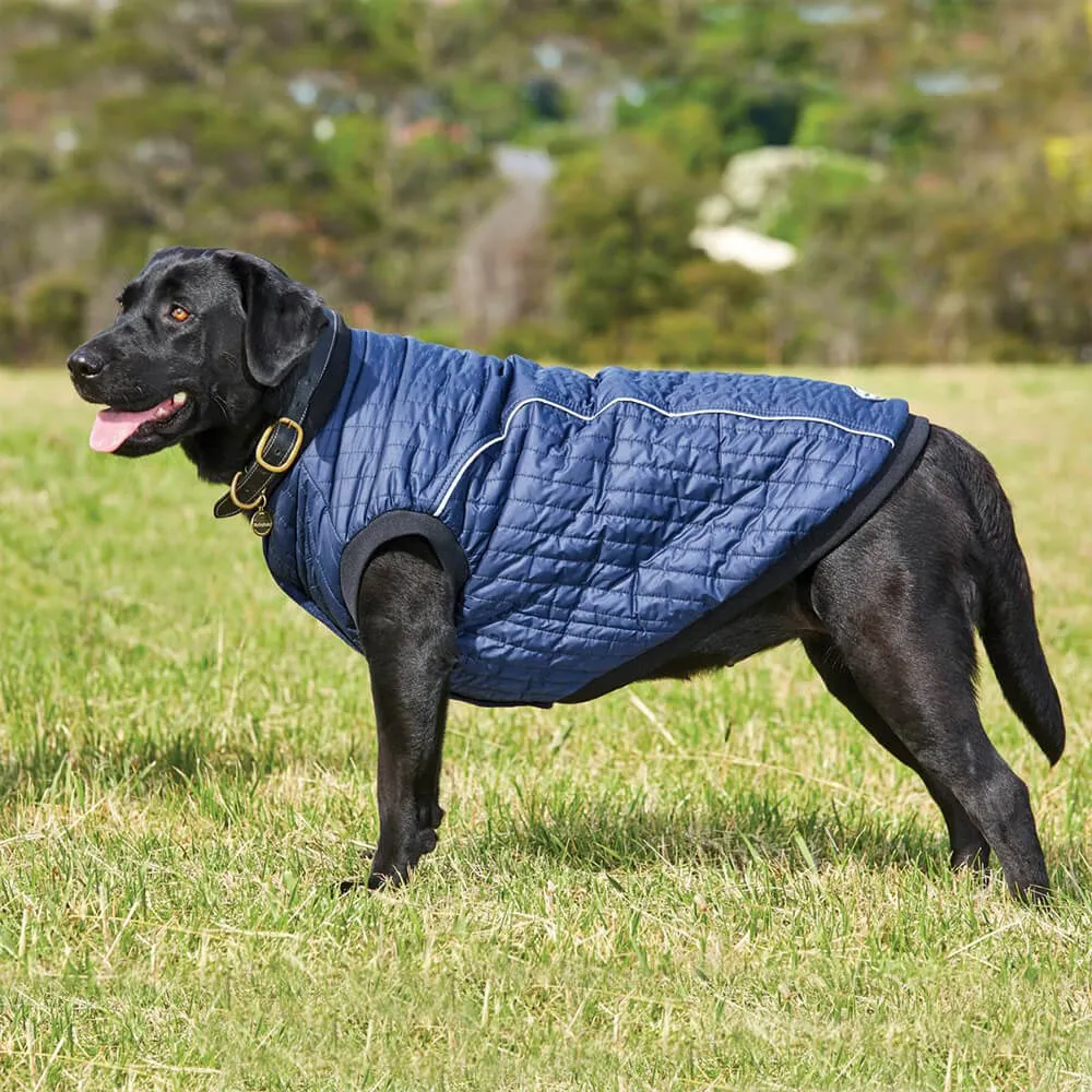 Weatherbeeta Puffer Dog Coat
