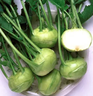 White Vienna Kohlrabi