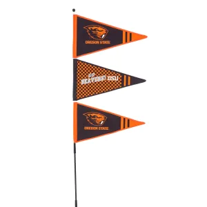 Windspinner, Pennant, Oregon State University,45p989
