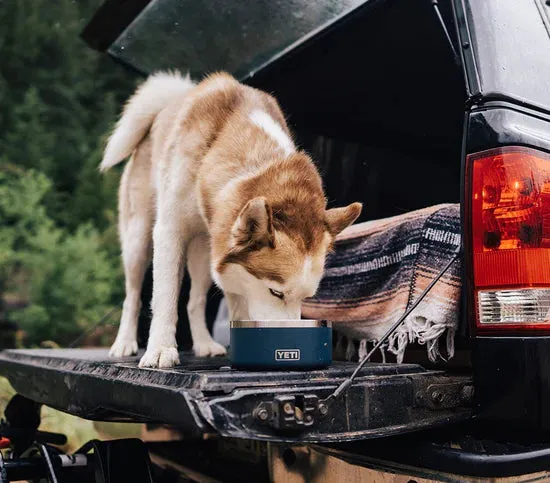 YETI Boomer 4 Dog Bowl - Black